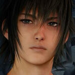 Noctis Lucis Caelum